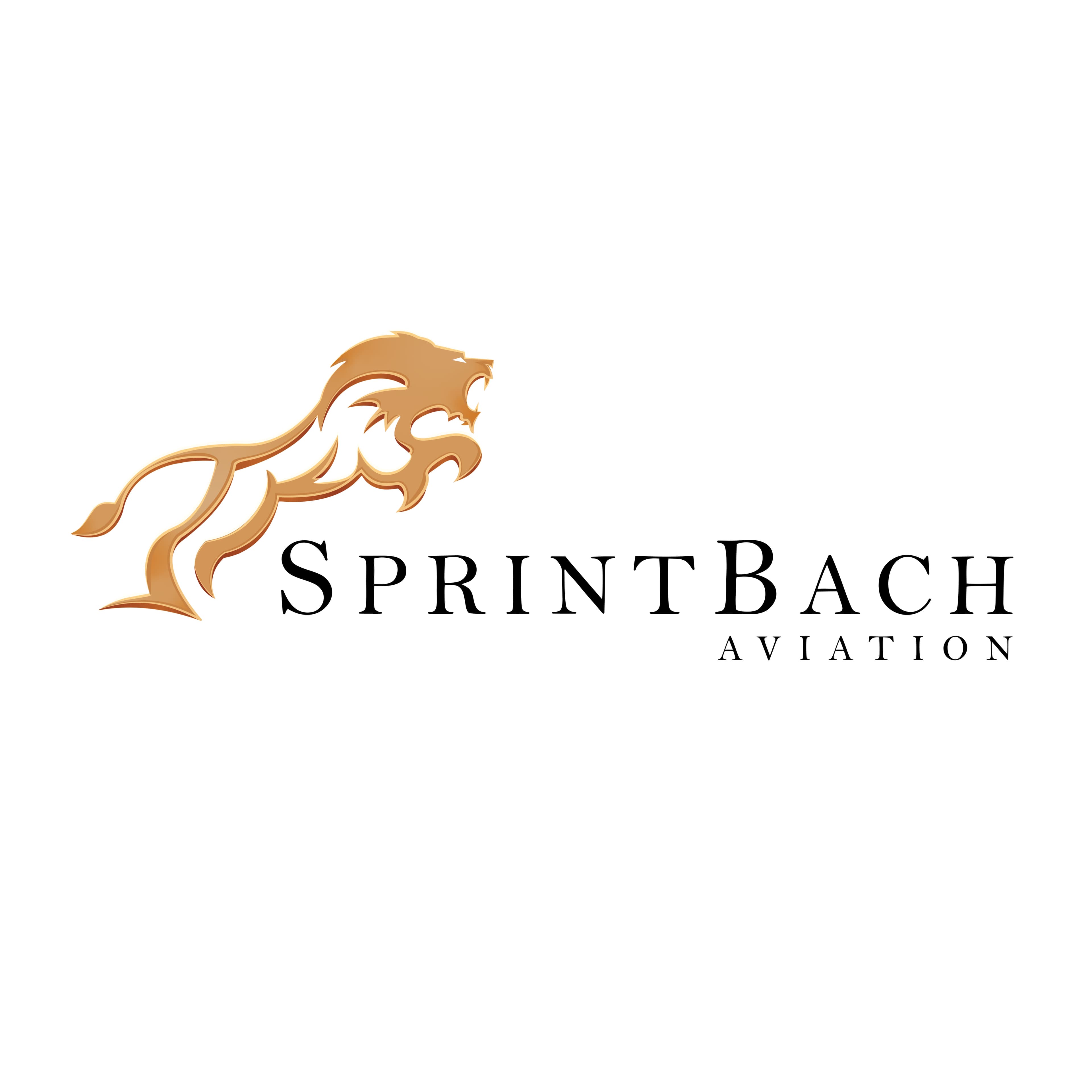 sprintbach aviation