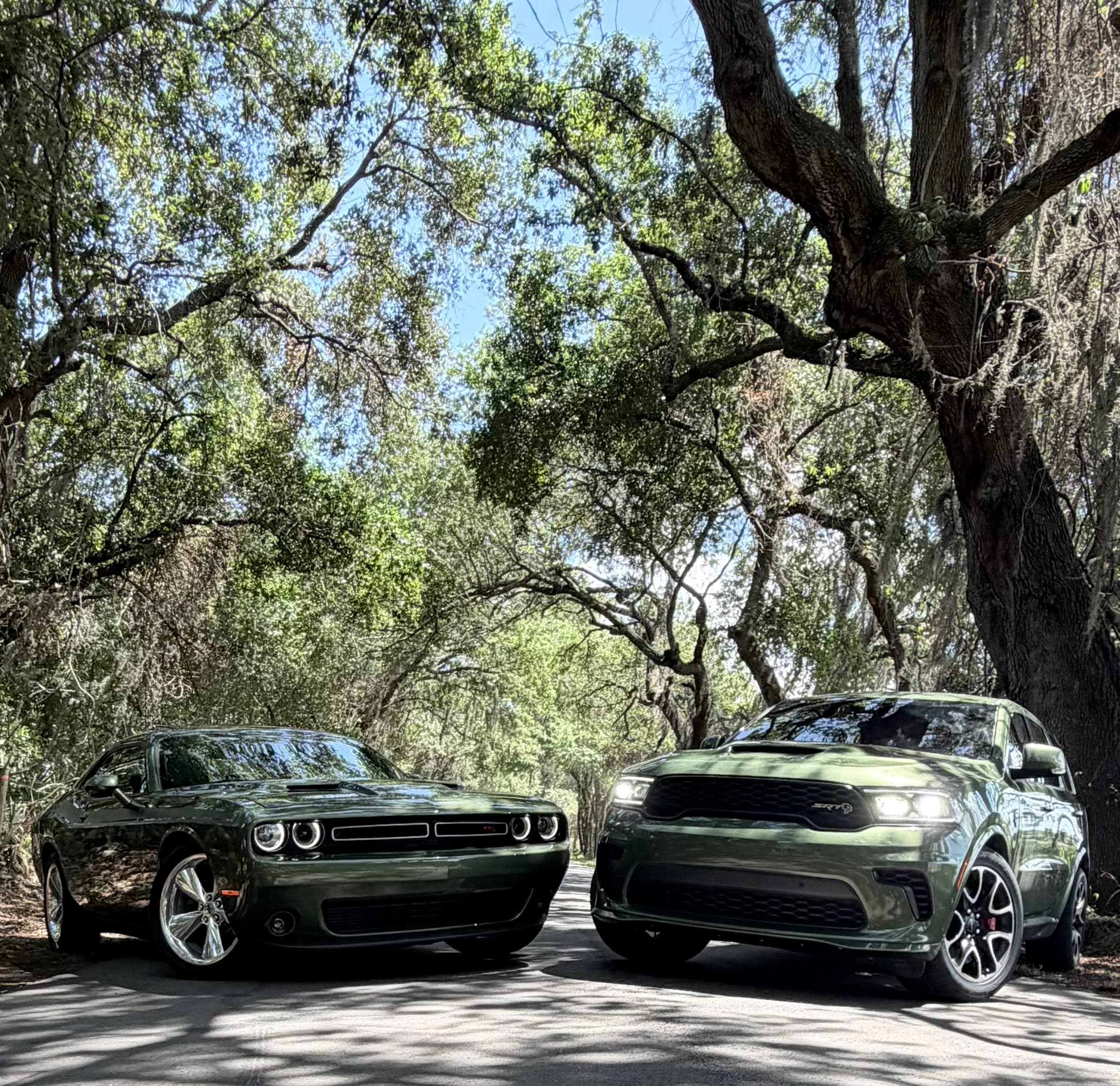 Sunshine Drive Rentals